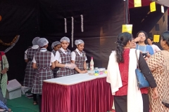 A-Food-Mela-and-Fun-Fair-feb-2020-6